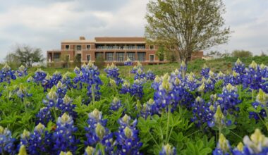 These 50 companies in North Texas set a standard of excellence in 2025