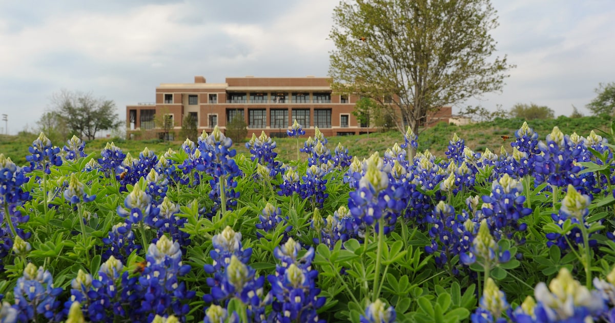 These 50 companies in North Texas set a standard of excellence in 2025