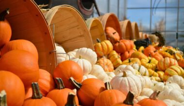 Dallas Climbs To #4 In WalletHub’s Thanksgiving Rankings