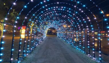 Things to do this December