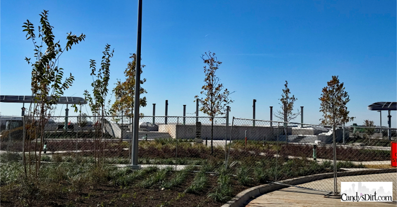 (Photo by Mimi Perez for CandysDirt.com)