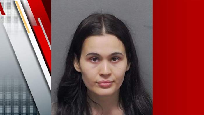 SA woman arrested for creating fake TikTok profile, using defamatory images, affidavit says