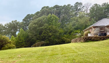 Child’s play | Sachse News