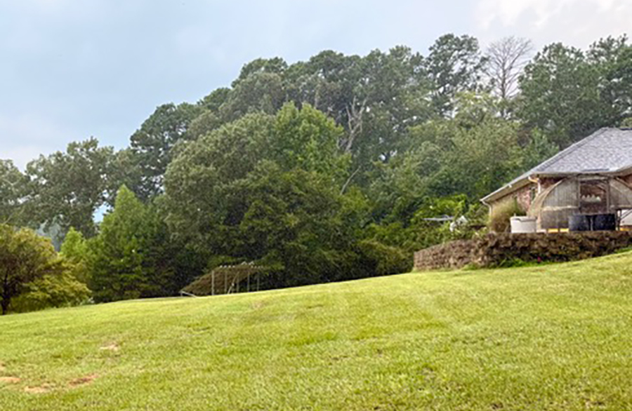 Child’s play | Sachse News