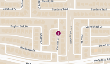 Plano, TX – Pedestrian Injured in Crash at 14th St and Cavalier Dr