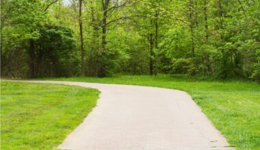 Plano Teen Charged With Kidnapping In Hammer Attack