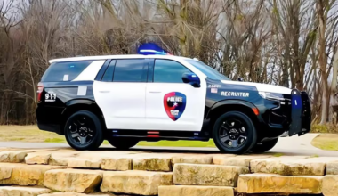 Woman attacked with hammer while jogging in Plano park, suspect in custody, police say