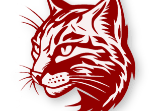 Plano for Playoffs - BVM Sports