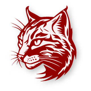 Plano for Playoffs - BVM Sports