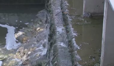 Coastal Bend leaders consider water alliance as lake levels continue to fall