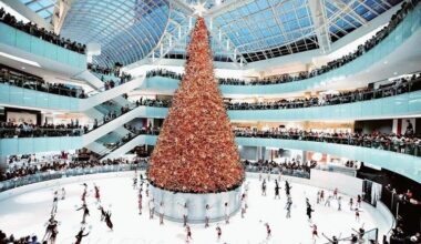 What It Takes To Create The Tallest Indoor Christmas Tree In The U.S. - Local Profile