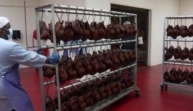 Greenberg smoked turkey delay impacts North Texas families – NBC 5 Dallas-Fort Worth