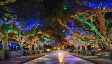 See these 13 holiday light displays in Houston