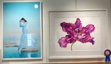 If You Love Local Art, Don’t Miss This Plano Exhibition - Local Profile