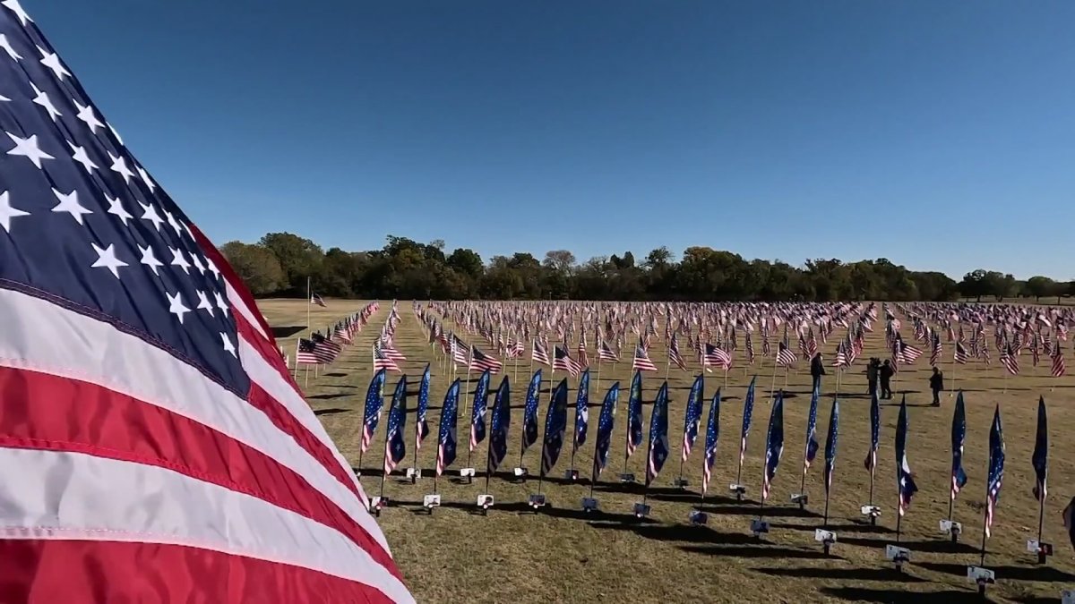 Plano displays 1,111 flags in Veterans Day tribute to U.S. service – NBC 5 Dallas-Fort Worth