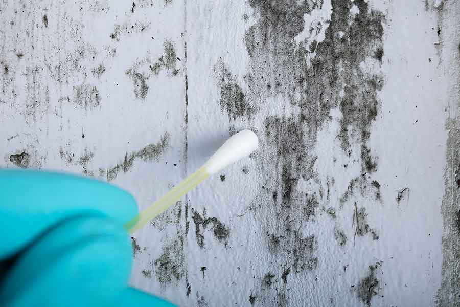 Precision Environmental Services providing mold testing in Fort Worth, Texas
