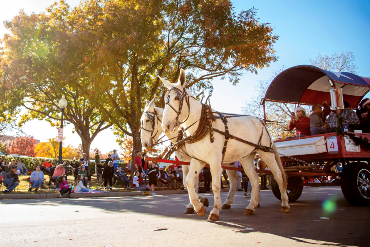 Decades Of Holiday Cheer: One Of Plano’s Oldest Traditions Returns - Local Profile