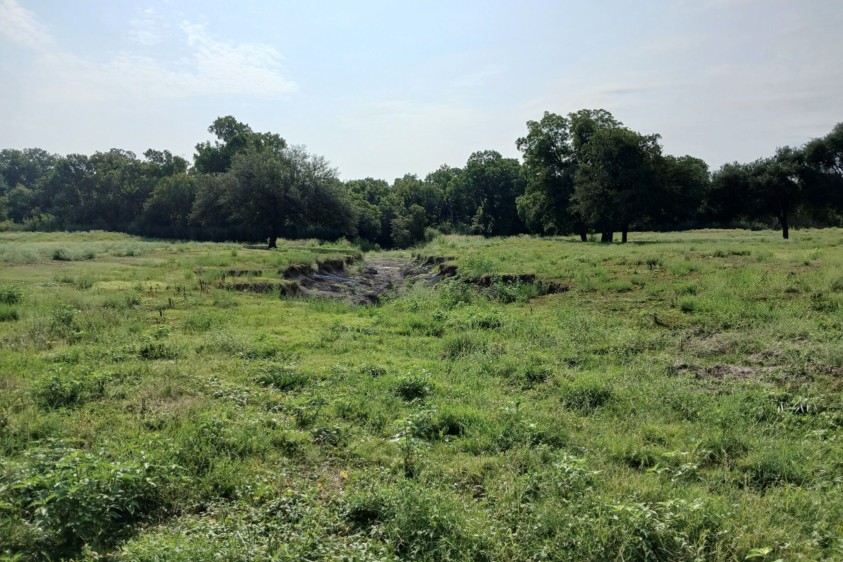 What Happened To Los Rios Park? Residents Want Answers - Local Profile