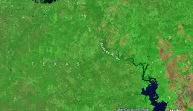 A false-color satellite image from October 2021 shows Choke Canyon Reservoir and Lake Corpus Christi in Texas as irregularly shaped, dark blue waterbodies in the upper left and lower right, respectively. Much of the surrounding land appears green, but some agricultural fields along the right side appear brown.