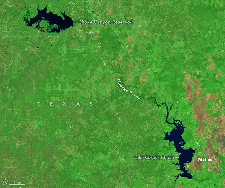 A false-color satellite image from October 2021 shows Choke Canyon Reservoir and Lake Corpus Christi in Texas as irregularly shaped, dark blue waterbodies in the upper left and lower right, respectively. Much of the surrounding land appears green, but some agricultural fields along the right side appear brown.