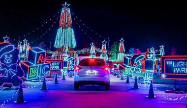 Top 10 Things To Do This Weekend In Plano, Frisco, The Colony And Beyond [Nov. 7-9, 2025] - Local Profile