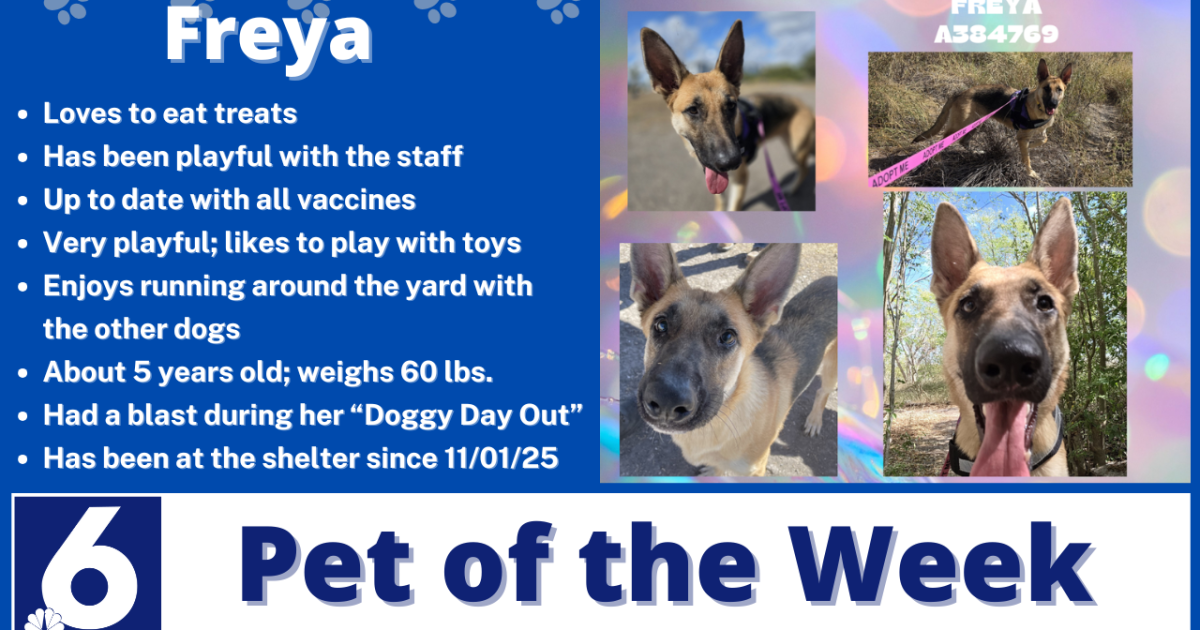 Pet of the Week: Freya