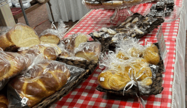 40th annual Jewish festival returns this weekend