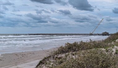 Overcast skies and breezy conditions with showers overnight