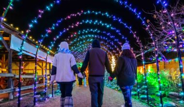 Find the fun around North Texas this turkey weekend with our holiday guide