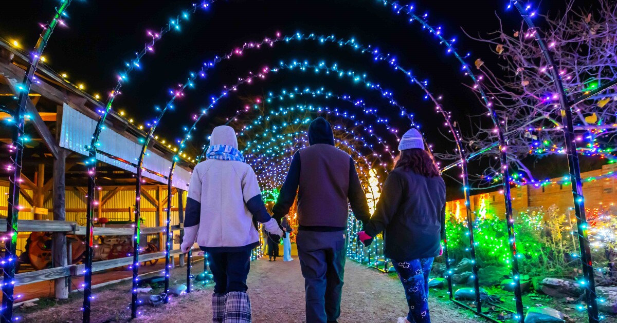 Find the fun around North Texas this turkey weekend with our holiday guide