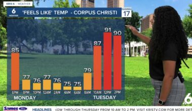 Warm temperatures and sunny conditions linger through the week