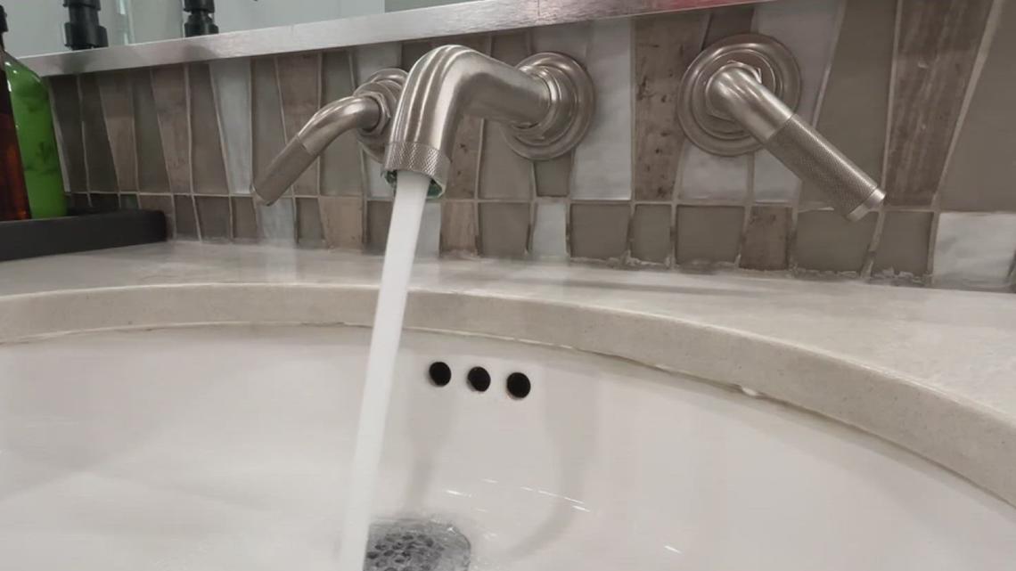 A chihuahua, a walk, and a water rate bombshell