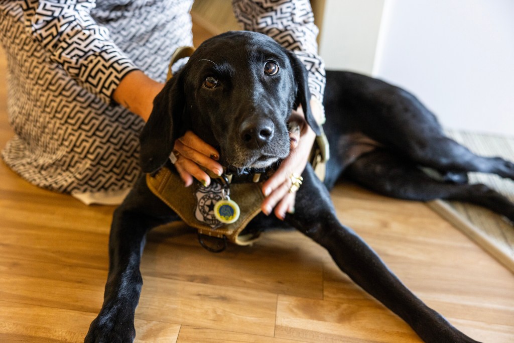 (Maria Crane | Fort Worth Report/CatchLight Local/Report for America)