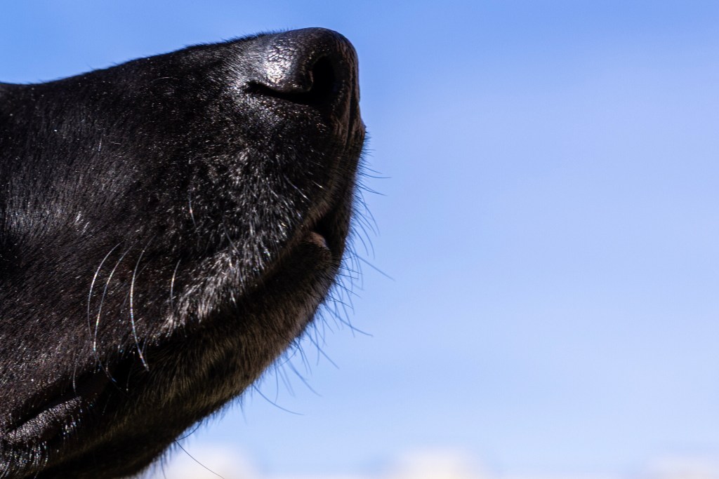 (Maria Crane | Fort Worth Report/CatchLight Local/Report for America)