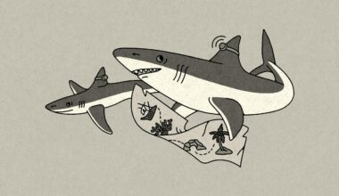 Rounding Up the Strangest Texas News of 2025