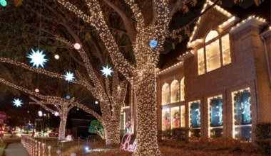 Top 10 Things To Do This Weekend In Plano, Frisco, Prosper And Beyond [Dec. 5-7, 2025] - Local Profile