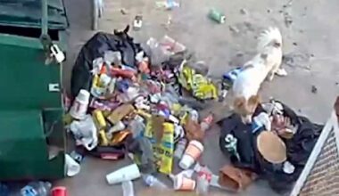 West Side business calls for city support amid persistent trash, damage