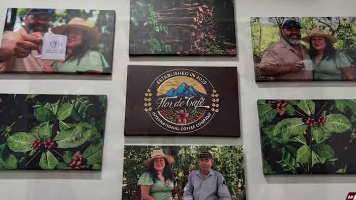 San Antonio family brings single‑origin coffee From El Salvador to local cups