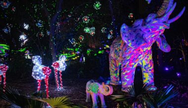 Houston Christmas lights display locations: Neighborhoods, drive-thrus, holiday festivals 2025