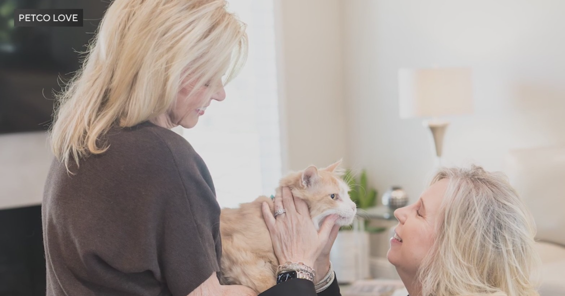 Petco Love Lost AI technology reunites Plano pet owner, cat after more than 100 days