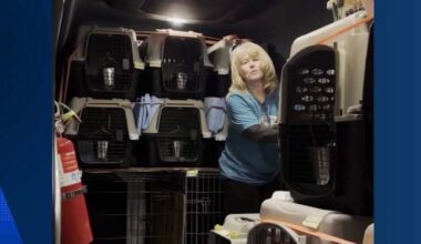 Petfinder change sparks concern from Houston-area rescues that rely on out-of-town adoptions