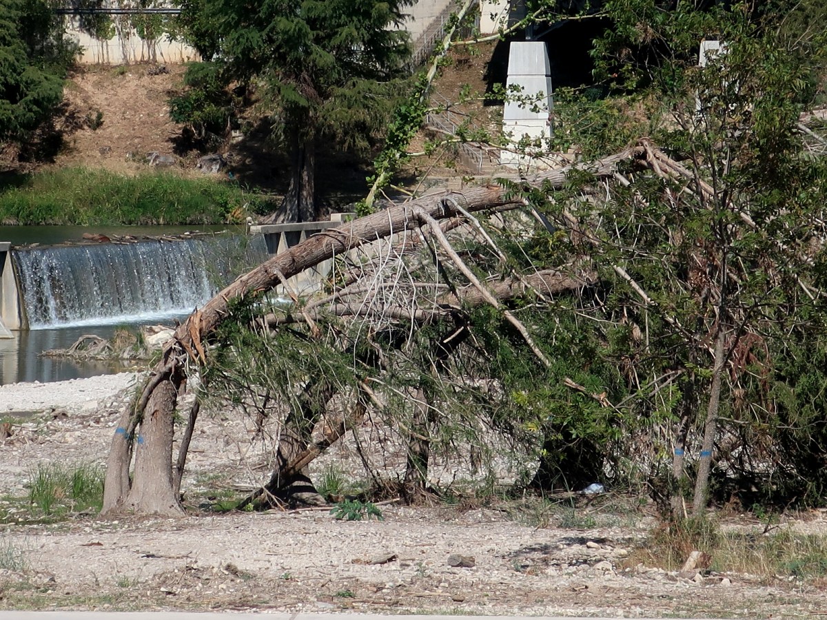 Day Trips: Top 10 Events in the World of Daytrippin’