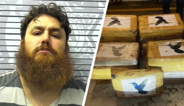 Texas man arrested in Mississippi after sheriff finds 19 kilos of cocaine during traffic stop