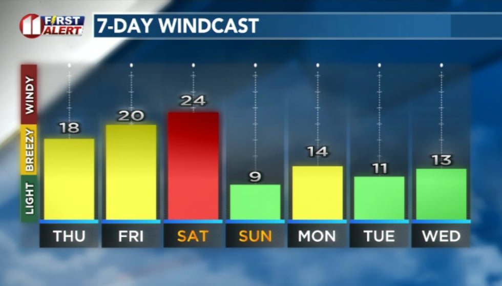 Breezy warm conditions this weekend