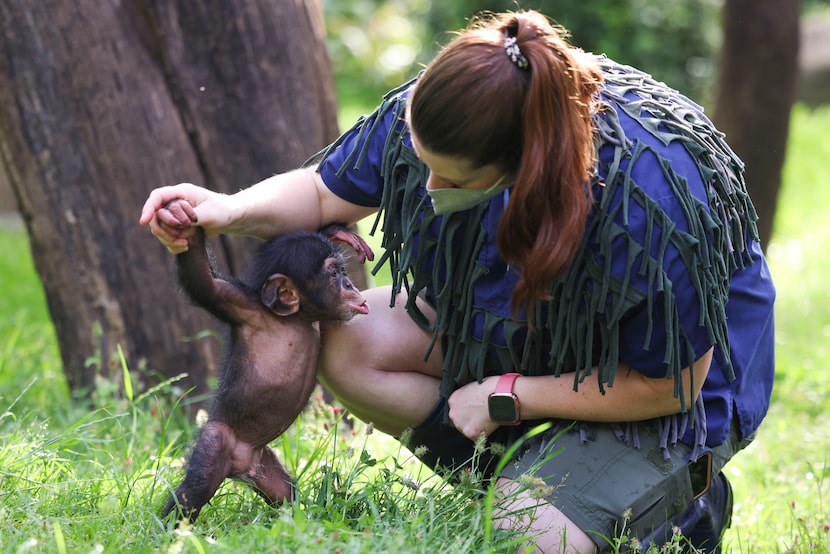 Four-month-old Makutu, tries to reach back to after he was brought down to ground by Sara...