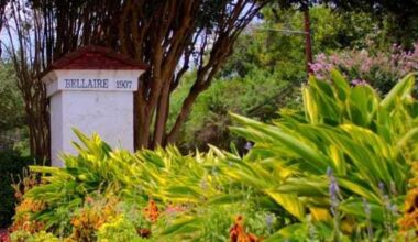 Richest town in Texas and more top Dallas news this week