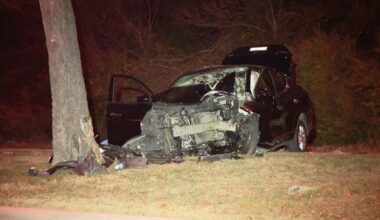 Dallas crash: One dead, two hospitalized after car hits tree