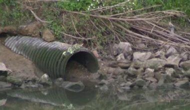 Families left with questions after two more bodies found in Houston bayous