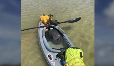 US Army veteran from Texas credits wilderness therapy for helping adjust to civilian life