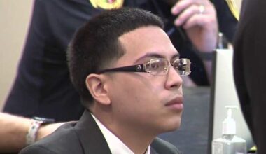 Appeals court overturns man’s 20-year murder sentence for shooting during dog petting argument